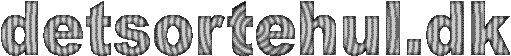 detsortehul logo